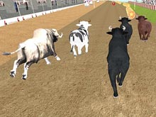 Angry Bull Racing