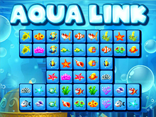 Aqua Link