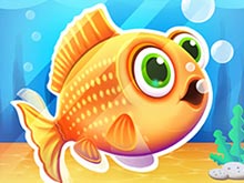 Aquarium Farm