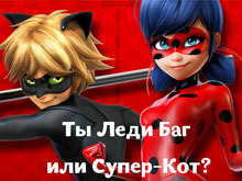 Are you Lady Bug or Super Cat?