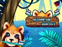 Become An Animal Dentist