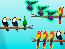 Bird Sort Challenges