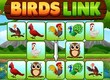 Birds Link