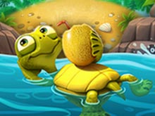 Brian Adventures On The Beach