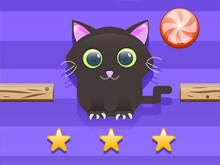 Cat Challenge