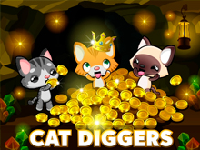 Cat Diggers