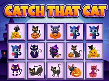 Catch That Cat