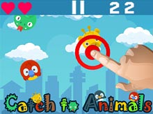 Catch to Animals