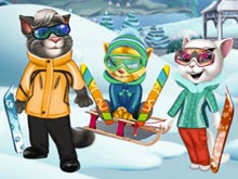 Cats Winter Fun