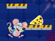 Cheese Lab