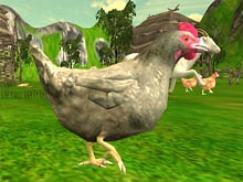 Chicken Shooter