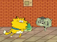 Counterfeit Cat Nine Lives