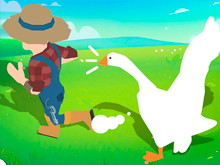 Crazy Goose Simulator