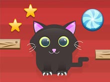Cut For Cat