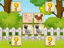Dogs Memory