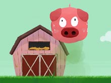 Farting Pig