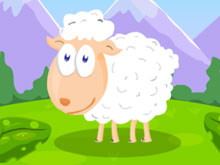 Feed The Sheep