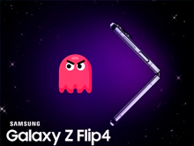 Flipman