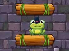 Frog In Well