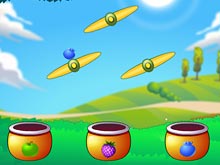 Fruit Collector