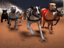 Greyhound Racing