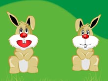 Happy Rabbits