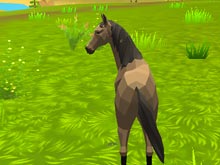 Horse Simulator 3D