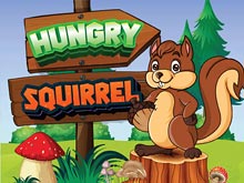 Hungry Squirrel