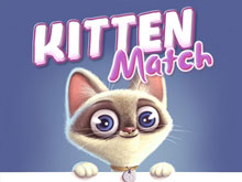 Kitten Match