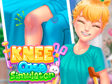 Knee Case Simulator