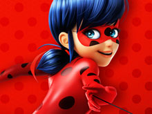 Ladybug Puzzle