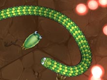 Little Big Snake