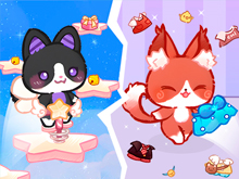 Lovely Cat Pet Life