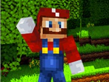 Minecraft Super Mario Edition