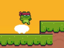 Ninja Frog Adventure
