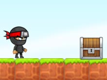 Ninja Samurai