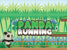 Panda Running