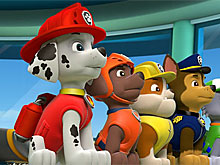 PAW Patrol All Dogs