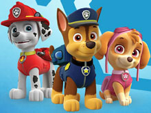 Paw Patrol Find 5 Diff