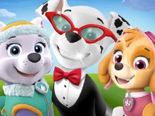 PAW Patrol Picture PAWfect Dress-Up