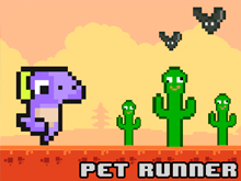 Pet Runner