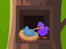 Pink Bird Rescue