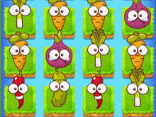 Plant Evolution