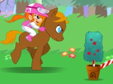 Pony Run Magic Trails