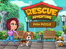 Push Puzzle Rescue Adventure
