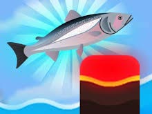 Salmonz.io