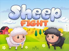 Sheep Fight