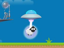 Sheep