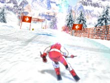 Slalom Hero