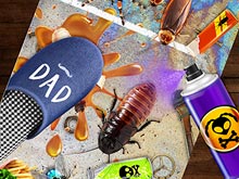 Smash the Bugs